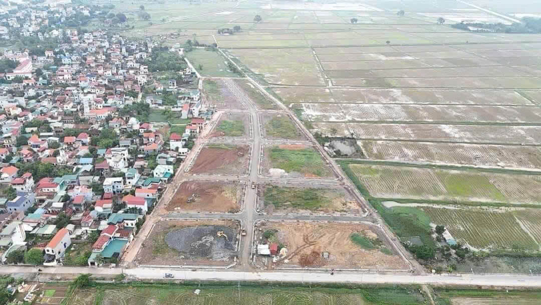 Pháp lý đất đấu giá tại Hà Nội từ A-Z: Cẩm nang để không vướng bẫy đầu tư